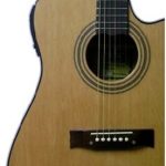 Gracia 115 con EQ FISHMAN